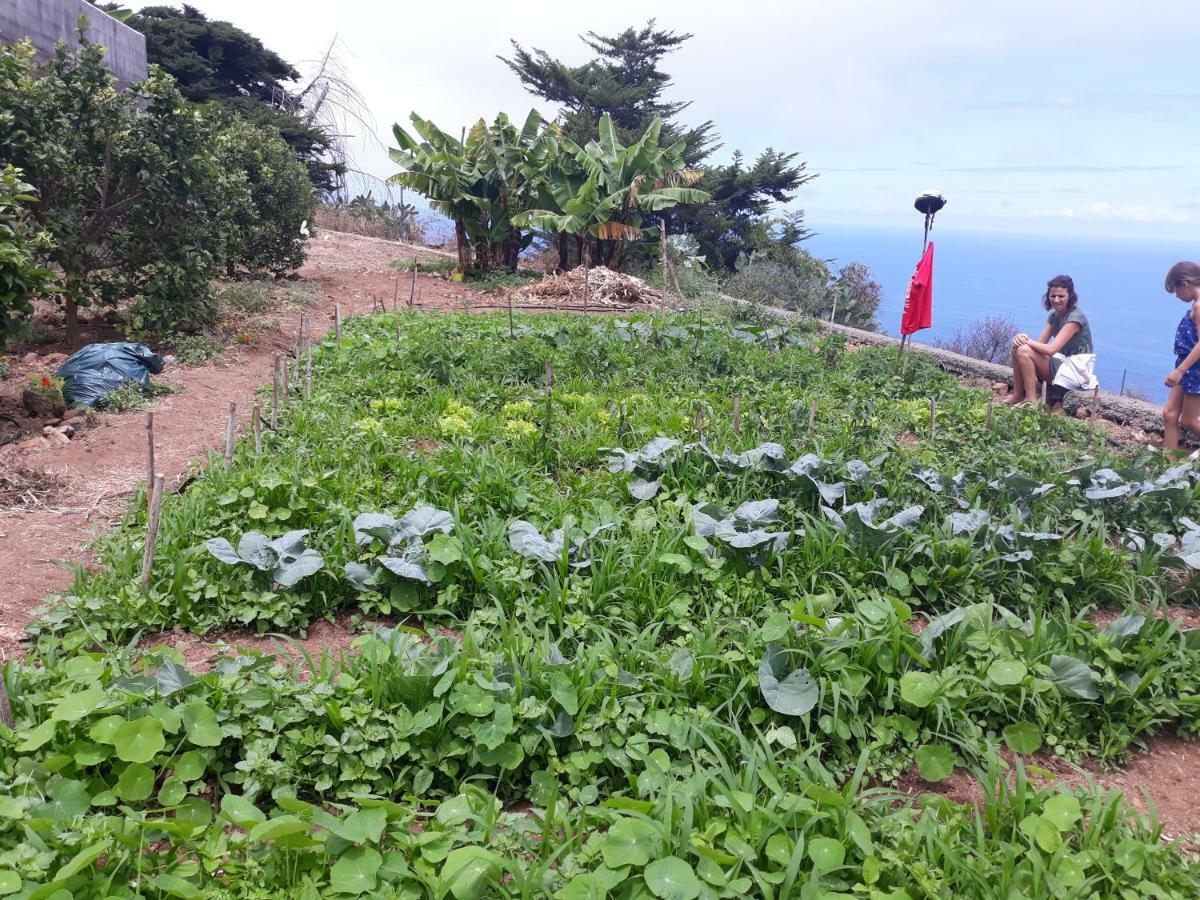 Casas En Finca Ecologica La Espiral, Naturaleza, Calma Y Vistas Al Mar, Icod el Alto Exterior foto